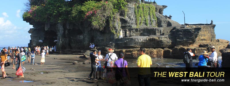 web bali tour tanah lot taman ayun bedugul ulun danu temple jatiluwih