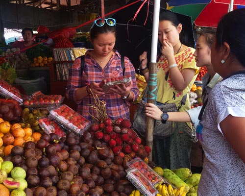 tour guide bali