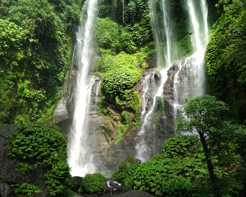 tour guide bali
