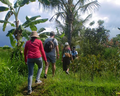 tour guide bali