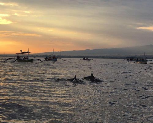 tour guide bali