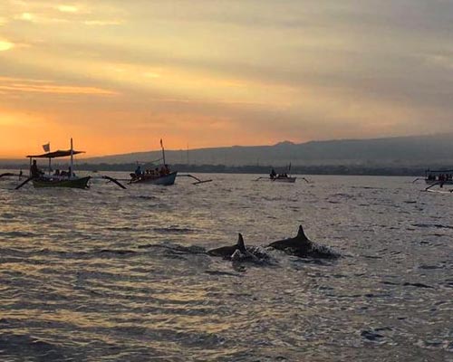 tour guide bali