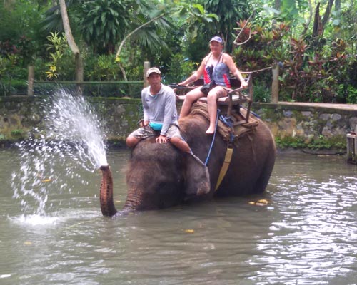tour guide bali