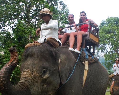 tour guide bali