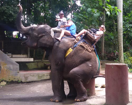 tour guide bali