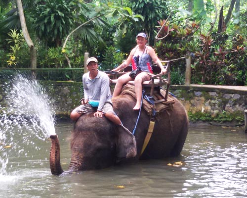 tour guide bali