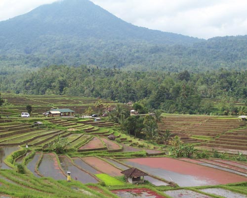 tour guide bali