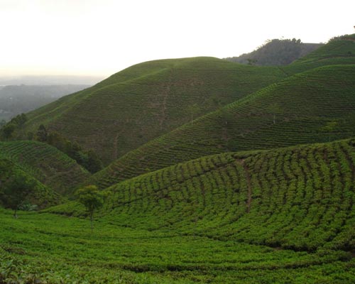 java indonesia tour packages