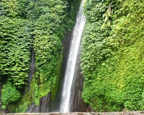 tour guide bali