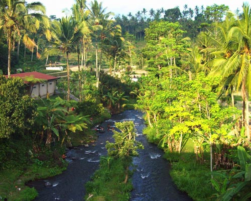 tour guide bali
