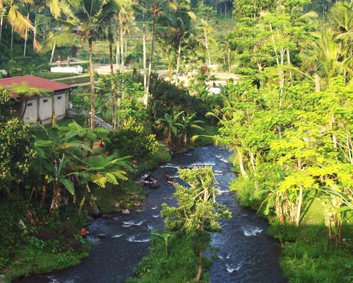 tour guide bali