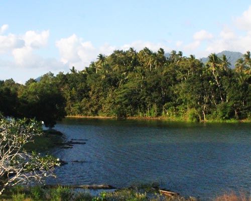 tour guide bali