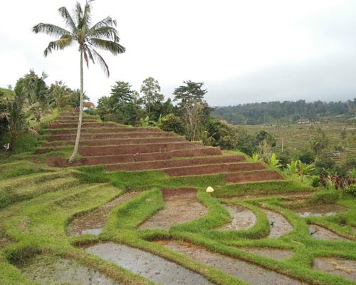 bali trekking climbing