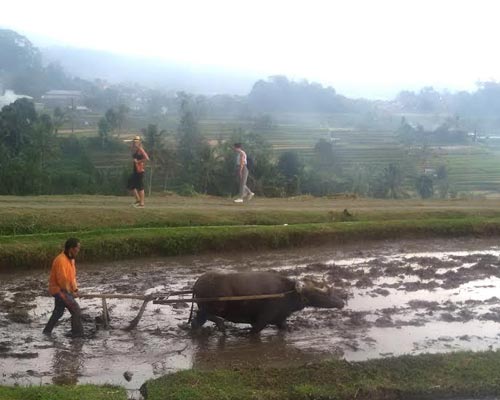 bali trekking climbing